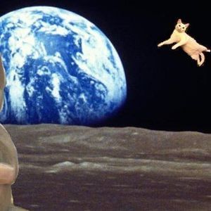 Meet your Posher, Claire